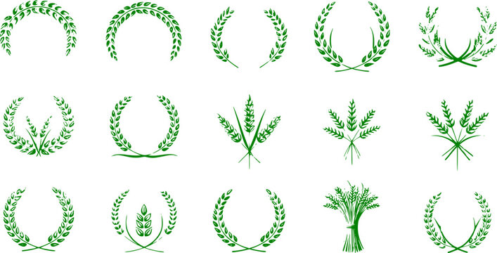Wheat wreaths and grain spikes set icons - Vector Stock 