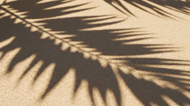 Palm leaf shadow on sandy surface representing the awe-inspiring power of nature