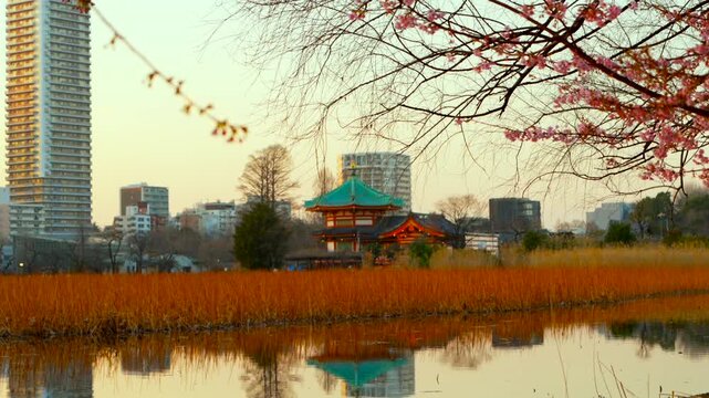 Scenic octagonal Bentendo temple in Shinobazu Pond Ueno Park Tokyo Japan with cherry blossom branches in foreground and city skyline in background.