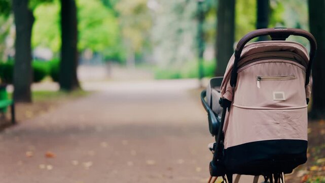 Baby stroller parked on path in scenic autumn park landscape.