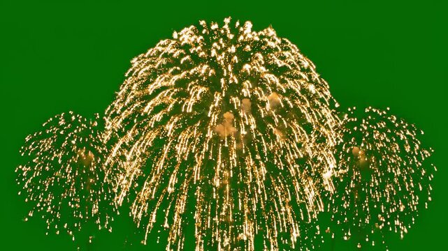 Fireworks exploding in night sky symbolizing conceptual art and dynamic energy