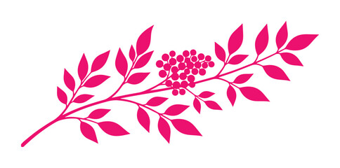 Vibrant pink rowan branch vector, stylized botanical illustration, decorative berry and leaf design, nature-inspired graphic element for branding and decor © Jamie