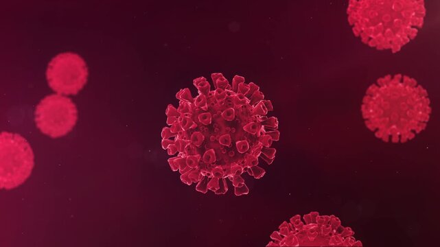 Red blood cells flowing through vein with romantic floral heart illustration background