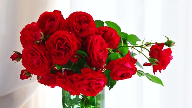 リビングの窓際に飾る真っ赤な薔薇