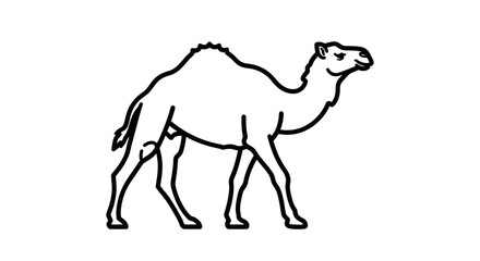 Fototapeta premium Camel side view outline vector illustration isolated on white background. Desert animal dromedary walking linear icon.
