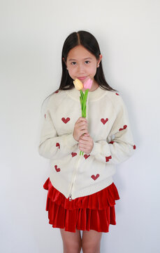 Portrait young Asian girl smelling a beautiful tulip flower, wearing a lovely red and white outfit against white background.
