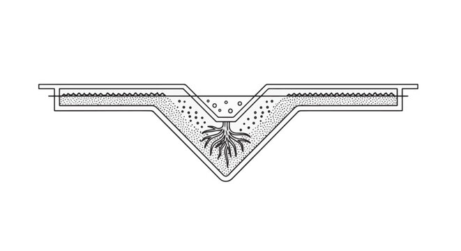 Minimalist nutria coypu rodent line art vector illustration featuring clean black outlines and silhouette profile, isolated on white for nature and educational design projects.