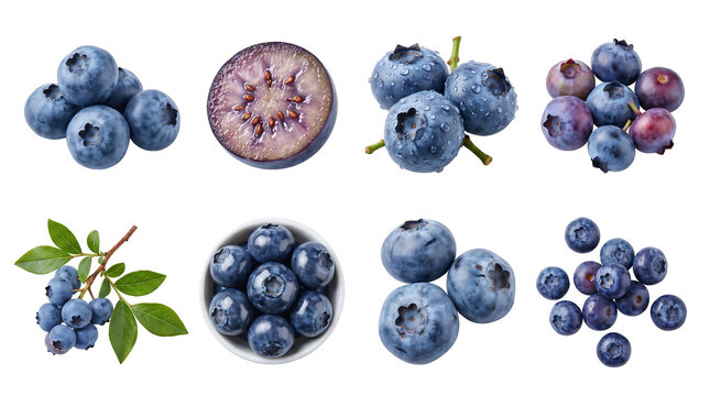 Fresh blueberry collection with leaves, half cross-section, and bowl isolated on white background. Macro food photography for healthy lifestyle, packaging design, and culinary advertising.