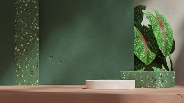 brown floor, pink caladium, and wall in 3d render footage of blank mockup white and green podium seamless shadow animation looping