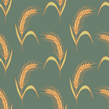 Seamless pattern with hand drawn cereal wheat oat rye barley rice ears spikelet Organic healthy food For decorative print, fabric, package, background