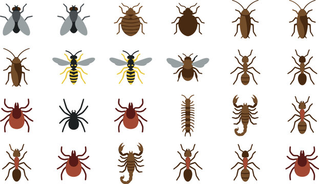 Insect and Pest Collection Set with Fly, Cockroach, Bed Bug, Wasp, Ant, Spider, Tick, Scorpion and Centipede for Entomology, Biology, Wildlife, Nature and Pest Control Illustration Designs