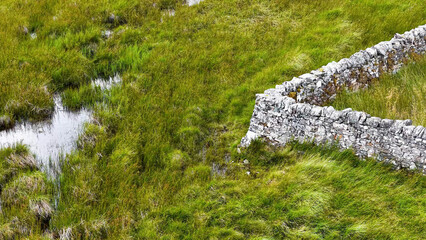 Fototapeta premium Aerial View of an Ancient Stone Wall in a Scottish Wetland Meadow
