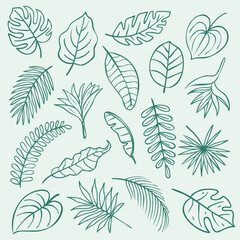 Hand drawn tropical leaves vector set in fresh green line art style. Monstera, palm, banana, fern and botanical elements. Minimal eco illustration perfect for wellness branding, packaging and patterns © Colomba Rossa