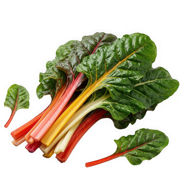 Fresh rainbow chard bunch with vibrant red, yellow, and green stems on white background