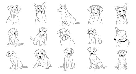 Obraz premium Extensive set of black and white line art sketches depicting various dog breeds in sitting and portrait poses.