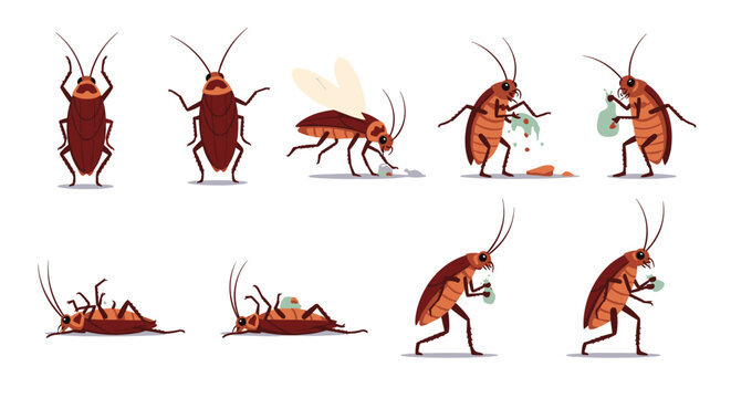 Collection of cockroach character illustrations in different actions like flying eating and carrying trash for pest control educational materials.