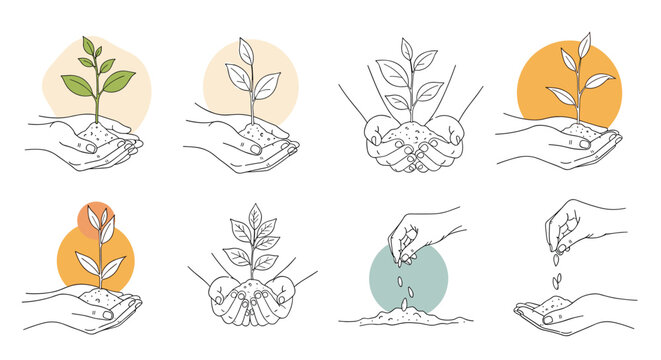 Sequence of hand drawn illustrations showing human hands planting a small tree sapling and sowing seeds to promote environmental conservation.