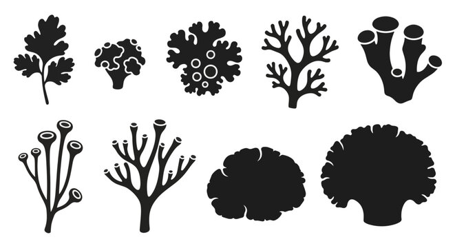Collection of flat black lichen and moss icons featuring organic growth patterns, botanical silhouettes, and minimalist nature shapes for graphic design and ecological themes.
