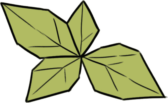 Mint Origami Style Vector Illustration