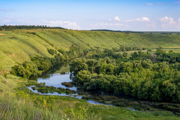 Obraz premium High green hills in the Zusha River valley near the village of Vyazhi-Zaverkh, Oryol region of Russia
