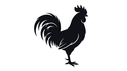 rooster isolated on white background © Fariaislam