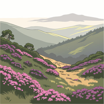 Heather covered mountain hills and hiking path with mountains, landscape