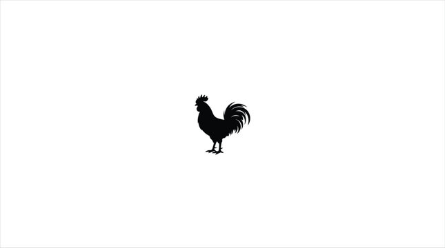 silhouette of a roster