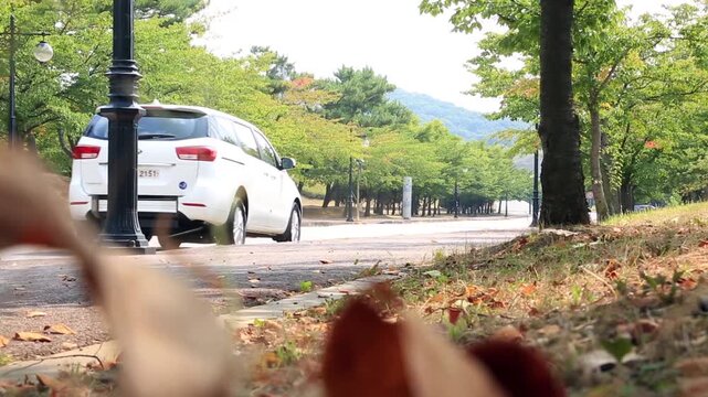 승합차 주행 공원 도로 가로수길 로우 앵글 교통수단 서울: 대한민국 서울의 푸른 나무가 우거진 공원 내부 도로를 서행하며 지나가는 흰색 승합차의 모습을 포착했습니다. 전경의 잔디밭과 낙엽 너머로 차량의 움직임을 로우 앵글 구도로 담아냈으며, 주말 가족 나들이, 교외 드라이브 여행, 여유로운 주행 풍경 및 도시 공원 라이프스타일을 상징하는 실외 영상입니다.