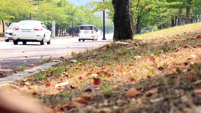 자동차 주행 공원 도로 뒷모습 교통수단 서울: 대한민국 서울의 한적한 공원 내부 도로를 서행하며 지나가는 차량들의 후면 주행 영상입니다. 전경의 잔디밭과 흩어진 낙엽 너머로 멀어지는 차들을 로우 앵글 구도로 담았으며, 주말 가족 나들이, 교외 드라이브 여행, 여유로운 풍경 및 도시 공원 라이프스타일을 상징하는 실외 장면입니다.