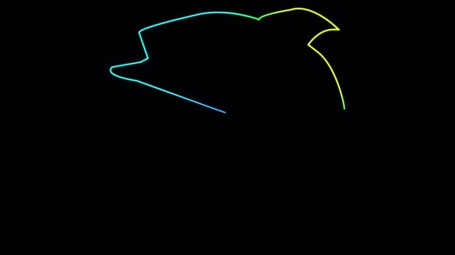 Neon dolphin outline animation on black background showing glowing colorful light trails forming silhouette of aquatic mammal through light painting technique for digital art design.