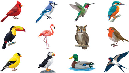 Fototapeta premium Colorful Exotic and Wild Bird Collection Featuring Cardinal Toucan Flamingo Owl Kingfisher Robin and Hummingbird in Detailed Vector Illustration Set