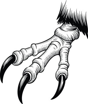 Black and white of a zebra head and neck mane