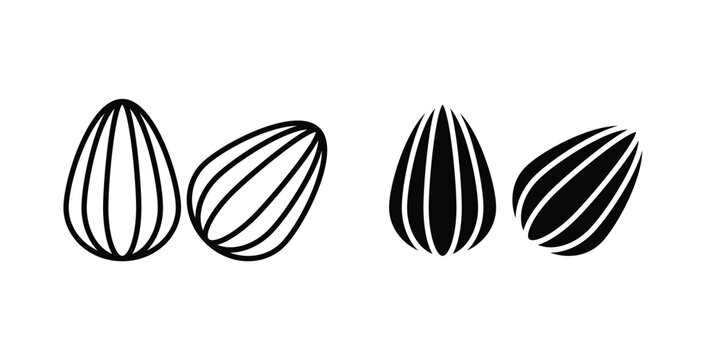 Almond icon