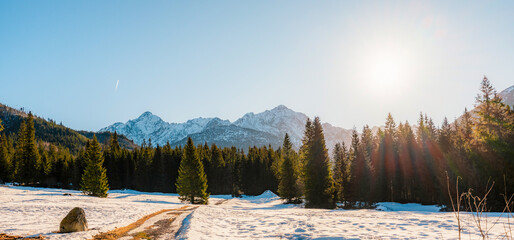 Mountain view with hiking path in Javorova dolina nature reserve during a winter sunny day in Slovakia in High Tatras mountains © Zedspider