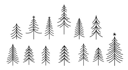 Fototapeta premium Three Majestic Pine Trees Standing Tall in a Misty Forest