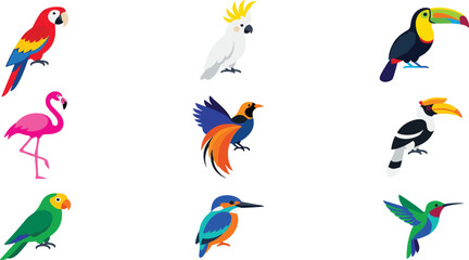 Fototapeta premium Tropical Exotic Bird Collection Featuring Parrot Flamingo Toucan Cockatoo Kingfisher and Colorful Wildlife Birds in Flat Vector Illustration Set