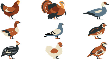 Naklejka premium Farm and Wild Bird Collection Featuring Turkey Goose Pigeon Chicken Quail and Domestic Poultry in Flat Vector Illustration Design Set