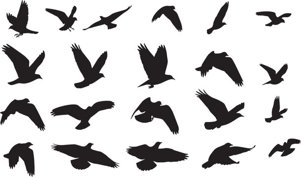 Flying birds silhouettes in various poses and angles