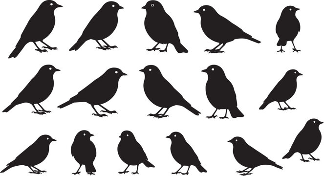 black silhouette birds on white background for design elements