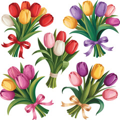 Obraz premium Set of tulip flowers bouquets red yellow white color flower vector on white background.
