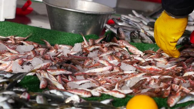 Fresh fish displayed at market in busy town