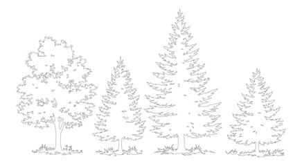 Obraz premium Minimalist tree line art vector set, hand drawn pine and deciduous tree sketches, black and white forest plant outlines for coloring or logo design