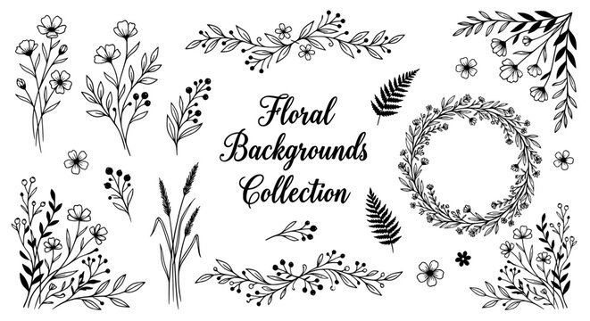 Botanical Floral Elements and Wreath in Black Silhouette on White Background for Design