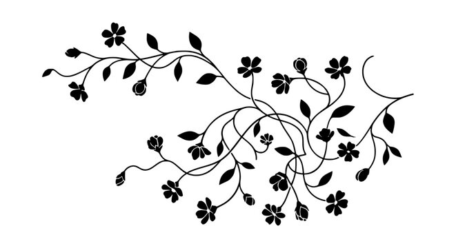 Delicate floral vine with small blossoms in silhouette against a white background vector illustration