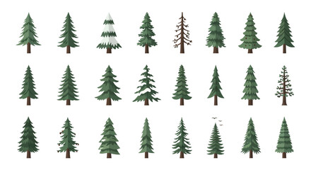 Obraz premium Set of Watercolor Christmas Trees Isolated on White Background