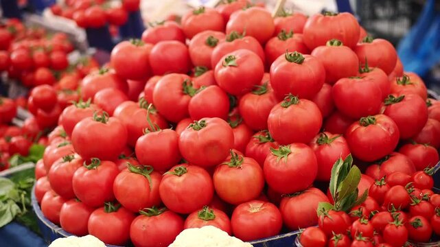 Fresh tomatoes at market on sunny day in city