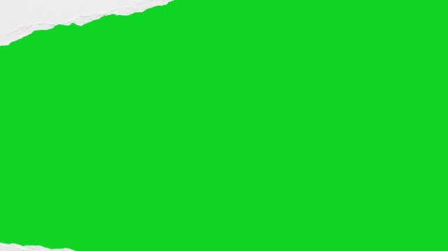 Torn smooth clean white paper rip revealing animated on a green screen chroma key background. It gives a high quality professional template design element for video compositing motion