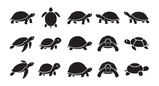 Sea Turtle Silhouette Collection Vector Set in Multiple Poses