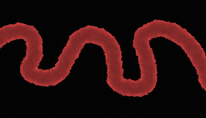 Fototapeta premium Microscopic View of a Red Worm-like Structure on a Black Background