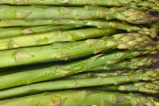 Full frame background view of freshly steamed wet green asparagus spears showing textures of stalks and tips.